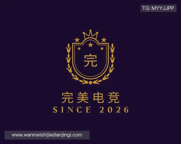 发现完美电竞